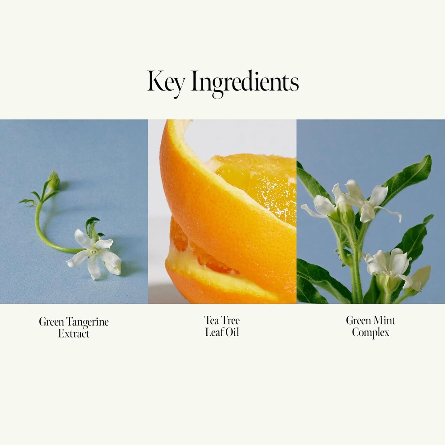 Neroli Glow Hair Essence with Bitter Orange Flower Oil & Complex for Soft Shine, Floral Citrus Scent, Paraben-Free (50ml / 1.69 fl. Oz)