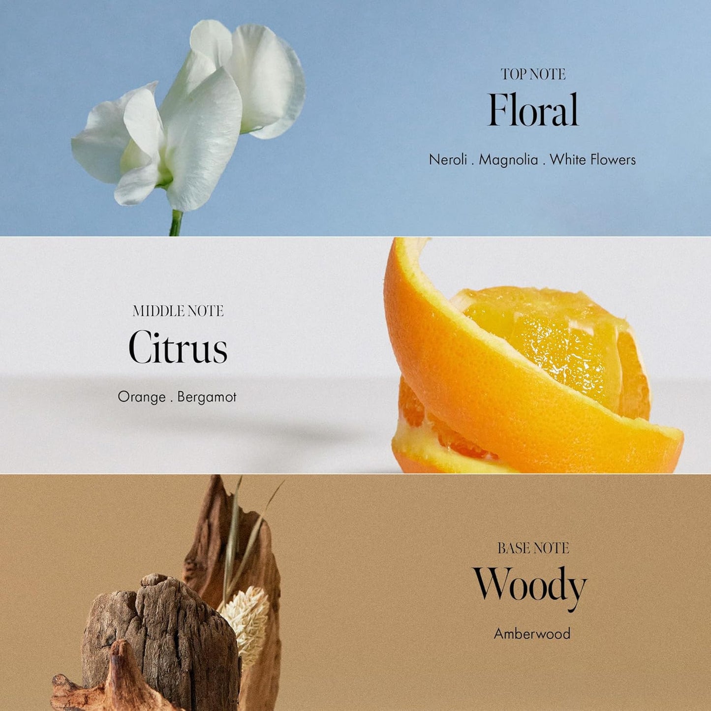 Neroli Glow Hair Essence with Bitter Orange Flower Oil & Complex for Soft Shine, Floral Citrus Scent, Paraben-Free (50ml / 1.69 fl. Oz)