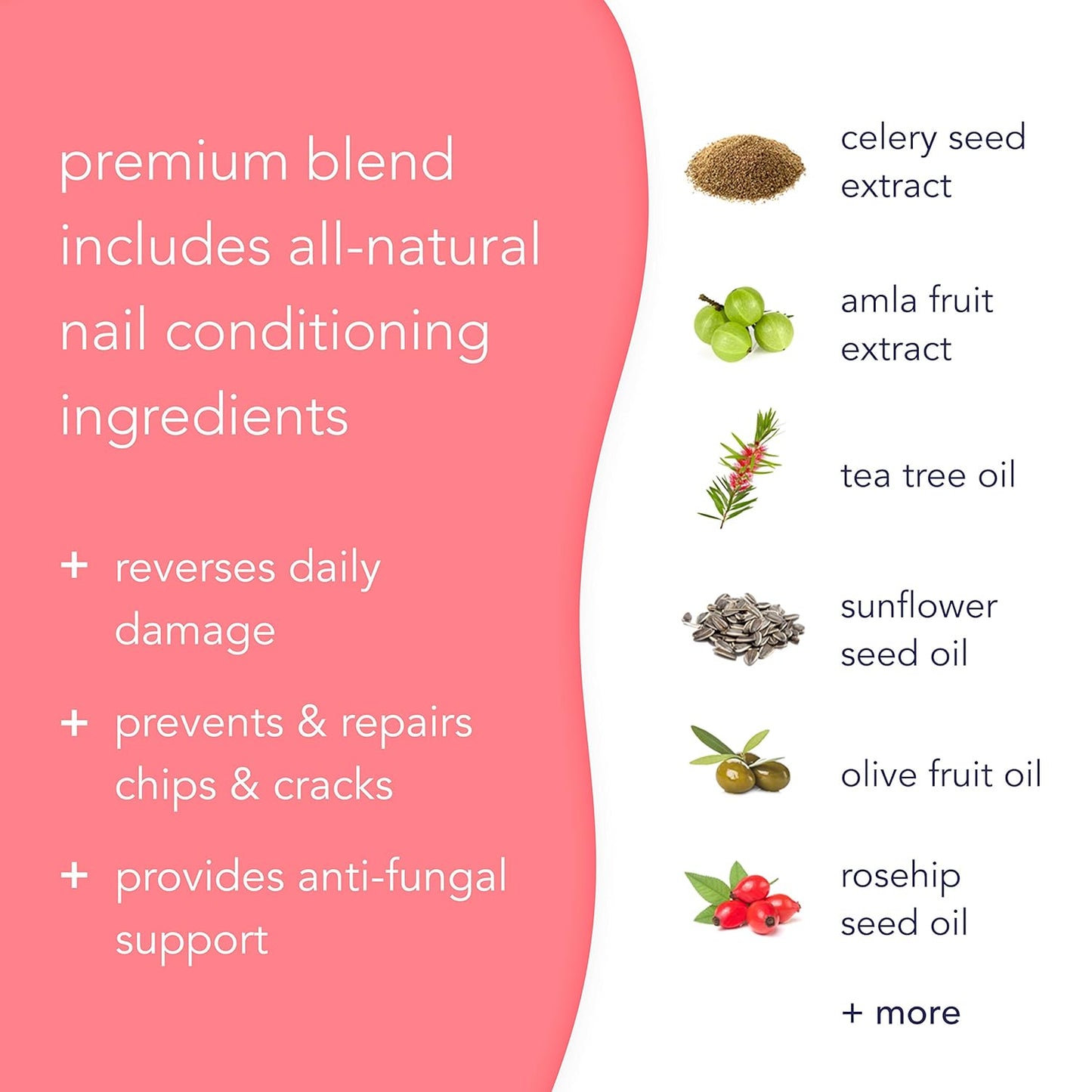 Barefoot Scientist Inner Strength Nail and Cuticle Renewal Drops, Award-Winning Cuticle Oil for Fingernails and Toenails Clear, 20 mL